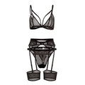 Lace Sheer Garter Set Bra & Panty Set  | Clestora