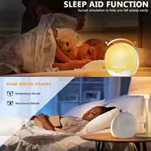 Sunrise Alarm Clock with Wake Up Light Digital Sleep Sound Night Light Des | Clestora