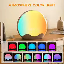 Sunrise Alarm Clock with Wake Up Light Digital Sleep Sound Night Light Des | Clestora