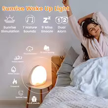 Sunrise Alarm Clock with Wake Up Light Digital Sleep Sound Night Light Des | Clestora