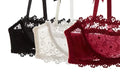 Lace Mesh Plus-Size Set Bralette Set | Clestora
